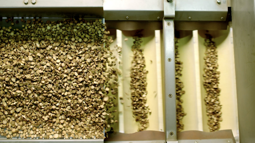 QG刮刮乐·(中国区)有限公司官网